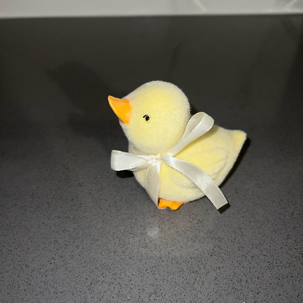 Baby chick